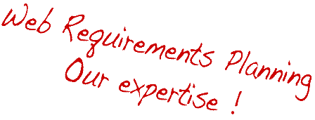 Web Requirements Experts